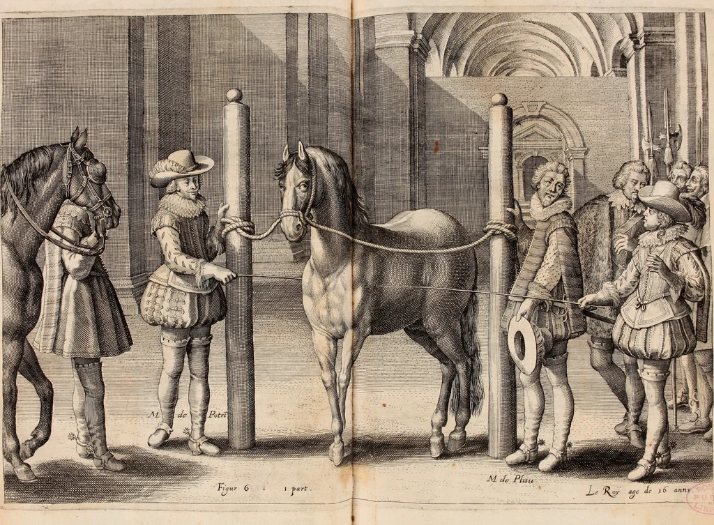 An illustration from Reitkunst Herrn Antonij de Pluvinel, darinnen er die jetzo regirende Kön. Mayst. in Frankreich/Ludouicum XIII. vnderwiesen : lehrend / Wie ein Reutersmann sich zu allen ritterlichen Vbungen bequemen vnd instellen / wie ein Pferd zum Gehorsam zubringen vnd in allerley schönen Schulen / Stücken vnd Maneigen leichtlich vnd volkommenlich abgerichtet werden soll : In Frantzösischer vnd Teutscher Sprach an den Tag gegeben / vnnd mit sechzig schönen Kupfferstücken gezieret, 1628, leaf 54
