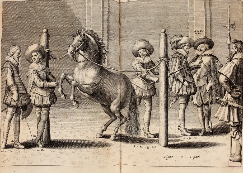 An illustration from Reitkunst Herrn Antonij de Pluvinel, darinnen er die jetzo regirende Kön. Mayst. in Frankreich/Ludouicum XIII. vnderwiesen : lehrend / Wie ein Reutersmann sich zu allen ritterlichen Vbungen bequemen vnd instellen / wie ein Pferd zum Gehorsam zubringen vnd in allerley schönen Schulen / Stücken vnd Maneigen leichtlich vnd volkommenlich abgerichtet werden soll : In Frantzösischer vnd Teutscher Sprach an den Tag gegeben / vnnd mit sechzig schönen Kupfferstücken gezieret, 1628, leaf 76