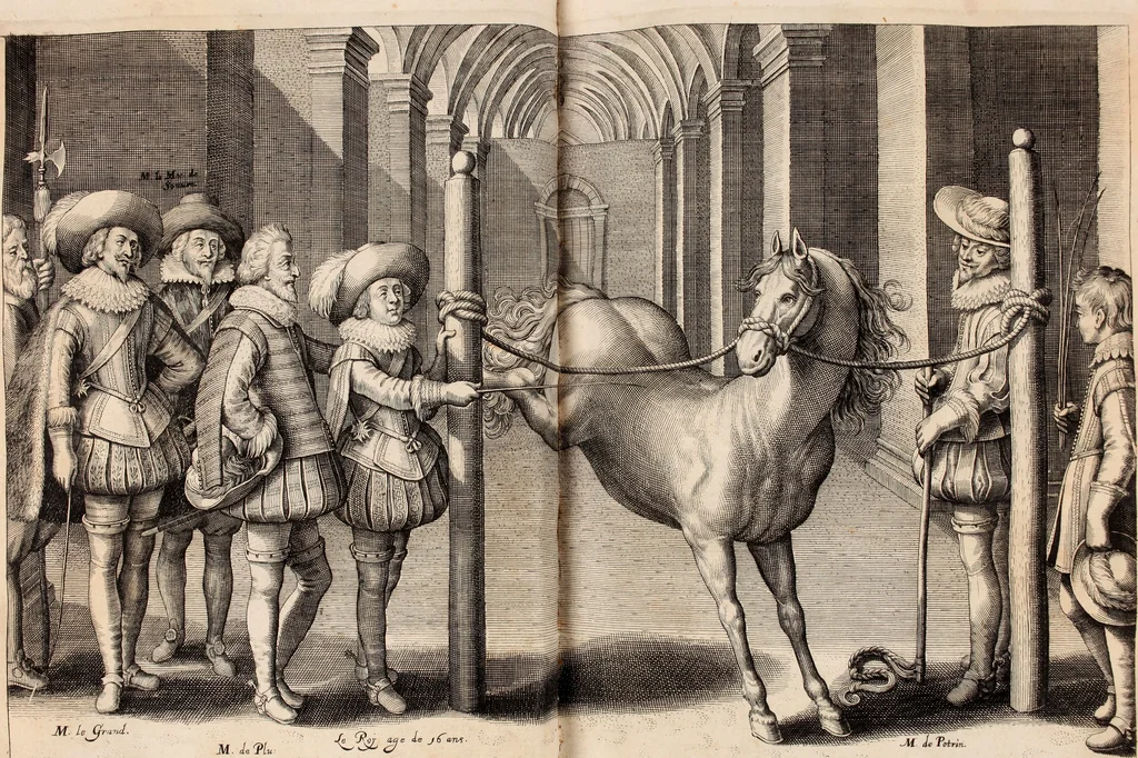 An illustration from Reitkunst Herrn Antonij de Pluvinel, darinnen er die jetzo regirende Kön. Mayst. in Frankreich/Ludouicum XIII. vnderwiesen : lehrend / Wie ein Reutersmann sich zu allen ritterlichen Vbungen bequemen vnd instellen / wie ein Pferd zum Gehorsam zubringen vnd in allerley schönen Schulen / Stücken vnd Maneigen leichtlich vnd volkommenlich abgerichtet werden soll : In Frantzösischer vnd Teutscher Sprach an den Tag gegeben / vnnd mit sechzig schönen Kupfferstücken gezieret, 1628, leaf 80