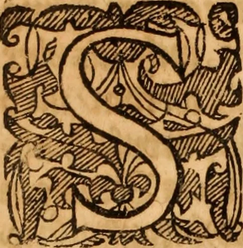 An illustration from Reitkunst Herrn Antonij de Pluvinel, darinnen er die jetzo regirende Kön. Mayst. in Frankreich/Ludouicum XIII. vnderwiesen : lehrend / Wie ein Reutersmann sich zu allen ritterlichen Vbungen bequemen vnd instellen / wie ein Pferd zum Gehorsam zubringen vnd in allerley schönen Schulen / Stücken vnd Maneigen leichtlich vnd volkommenlich abgerichtet werden soll : In Frantzösischer vnd Teutscher Sprach an den Tag gegeben / vnnd mit sechzig schönen Kupfferstücken gezieret, 1628, leaf 9