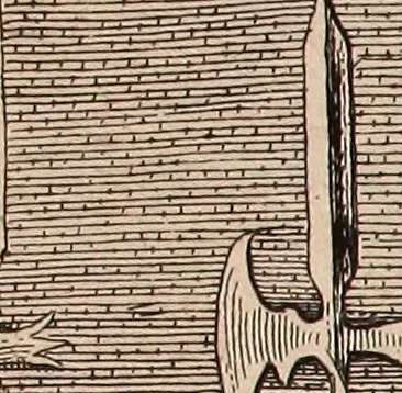 An illustration from Reitkunst Herrn Antonij de Pluvinel, darinnen er die jetzo regirende Kön. Mayst. in Frankreich/Ludouicum XIII. vnderwiesen : lehrend / Wie ein Reutersmann sich zu allen ritterlichen Vbungen bequemen vnd instellen / wie ein Pferd zum Gehorsam zubringen vnd in allerley schönen Schulen / Stücken vnd Maneigen leichtlich vnd volkommenlich abgerichtet werden soll : In Frantzösischer vnd Teutscher Sprach an den Tag gegeben / vnnd mit sechzig schönen Kupfferstücken gezieret, 1628, leaf 98