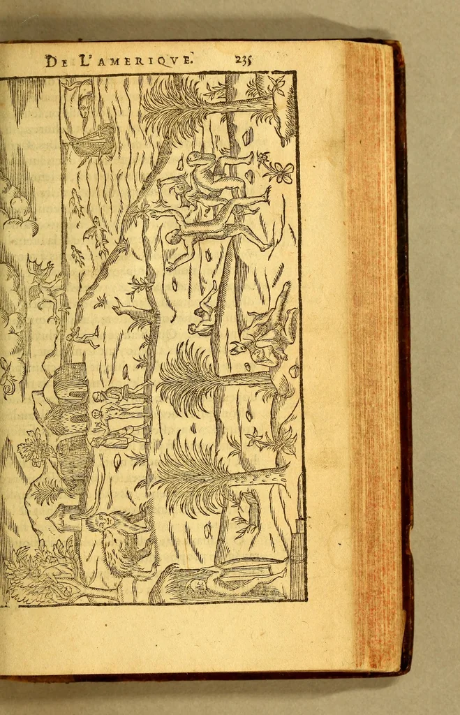 An illustration from Histoire d'un voyage faict en la terre du Bresil, autrement dite Amerique. : Contenant la nauigation, & choses remarquables, veuës sur mer par l'aucteur. Le comportement de Villegagnon en ce pays la. Les moeurs & facons de viure estranges des sauuages ameriquains: auec vn colloque de leur langage. Ensemble la description de plusieurs animaux, arbres, herbes, & autres choses singulieres, & du tout inco[n]nues pardecà: dont on verra les sommaires des chapitres au commencement du liure., 1580, leaf 287
