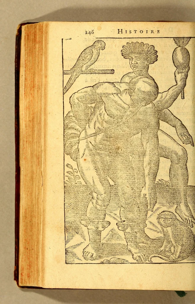 An illustration from Histoire d'un voyage faict en la terre du Bresil, autrement dite Amerique. : Contenant la nauigation, & choses remarquables, veuës sur mer par l'aucteur. Le comportement de Villegagnon en ce pays la. Les moeurs & facons de viure estranges des sauuages ameriquains: auec vn colloque de leur langage. Ensemble la description de plusieurs animaux, arbres, herbes, & autres choses singulieres, & du tout inco[n]nues pardecà: dont on verra les sommaires des chapitres au commencement du liure., 1580, leaf 298