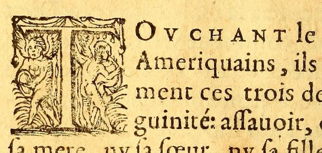 An illustration from Histoire d'un voyage faict en la terre du Bresil, autrement dite Amerique. : Contenant la nauigation, & choses remarquables, veuës sur mer par l'aucteur. Le comportement de Villegagnon en ce pays la. Les moeurs & facons de viure estranges des sauuages ameriquains: auec vn colloque de leur langage. Ensemble la description de plusieurs animaux, arbres, herbes, & autres choses singulieres, & du tout inco[n]nues pardecà: dont on verra les sommaires des chapitres au commencement du liure., 1580, leaf 314