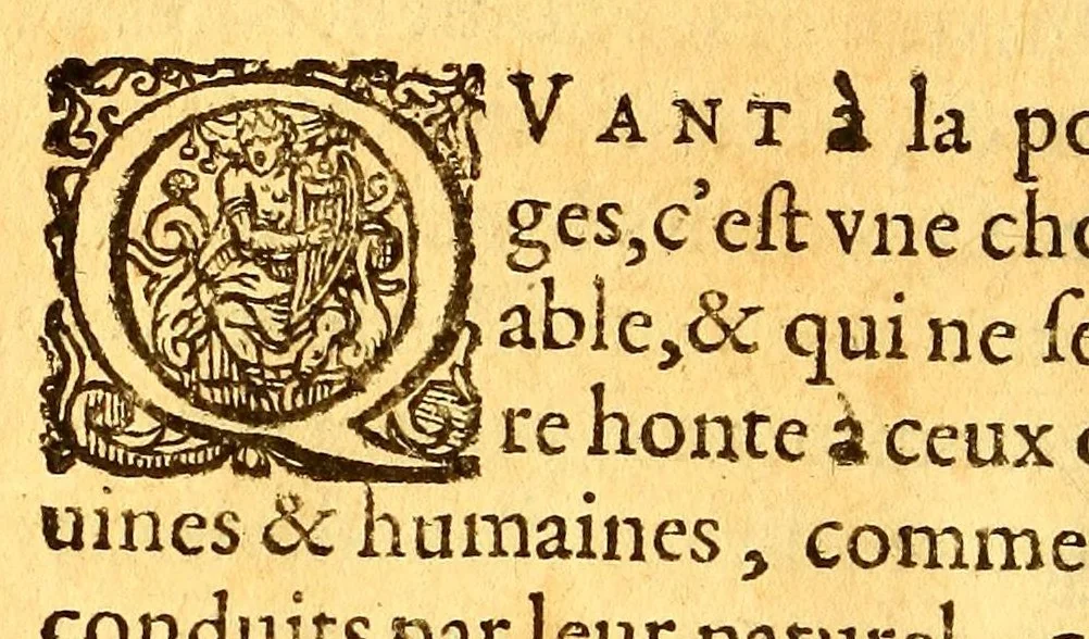 An illustration from Histoire d'un voyage faict en la terre du Bresil, autrement dite Amerique. : Contenant la nauigation, & choses remarquables, veuës sur mer par l'aucteur. Le comportement de Villegagnon en ce pays la. Les moeurs & facons de viure estranges des sauuages ameriquains: auec vn colloque de leur langage. Ensemble la description de plusieurs animaux, arbres, herbes, & autres choses singulieres, & du tout inco[n]nues pardecà: dont on verra les sommaires des chapitres au commencement du liure., 1580, leaf 324