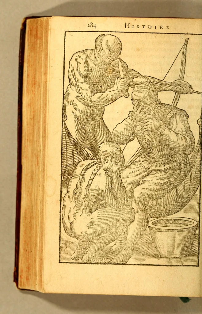 An illustration from Histoire d'un voyage faict en la terre du Bresil, autrement dite Amerique. : Contenant la nauigation, & choses remarquables, veuës sur mer par l'aucteur. Le comportement de Villegagnon en ce pays la. Les moeurs & facons de viure estranges des sauuages ameriquains: auec vn colloque de leur langage. Ensemble la description de plusieurs animaux, arbres, herbes, & autres choses singulieres, & du tout inco[n]nues pardecà: dont on verra les sommaires des chapitres au commencement du liure., 1580, leaf 336