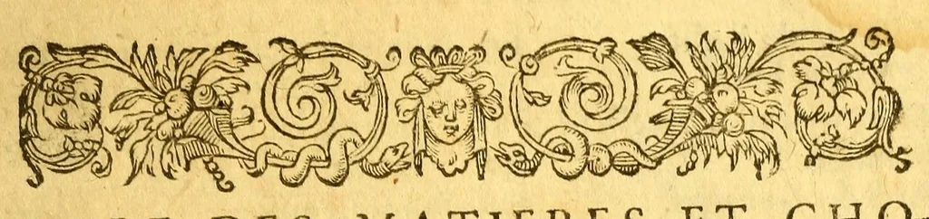 An illustration from Histoire d'un voyage faict en la terre du Bresil, autrement dite Amerique. : Contenant la nauigation, & choses remarquables, veuës sur mer par l'aucteur. Le comportement de Villegagnon en ce pays la. Les moeurs & facons de viure estranges des sauuages ameriquains: auec vn colloque de leur langage. Ensemble la description de plusieurs animaux, arbres, herbes, & autres choses singulieres, & du tout inco[n]nues pardecà: dont on verra les sommaires des chapitres au commencement du liure., 1580, leaf 435