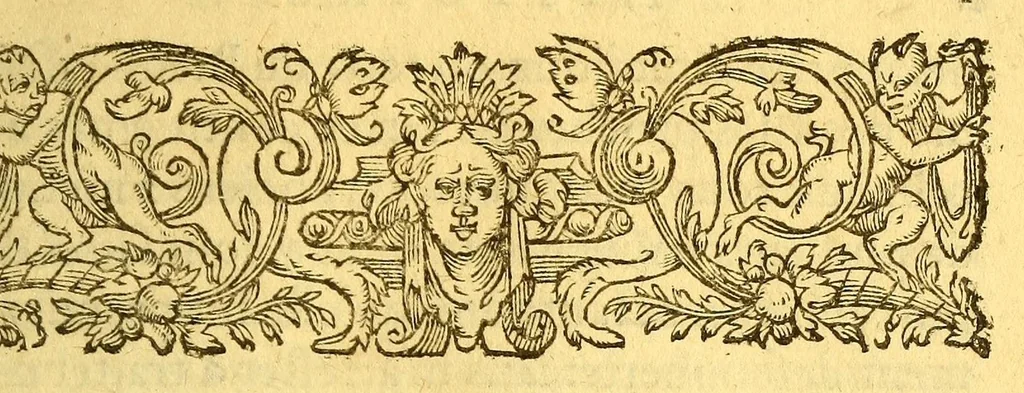 An illustration from Histoire d'un voyage faict en la terre du Bresil, autrement dite Amerique. : Contenant la nauigation, & choses remarquables, veuës sur mer par l'aucteur. Le comportement de Villegagnon en ce pays la. Les moeurs & facons de viure estranges des sauuages ameriquains: auec vn colloque de leur langage. Ensemble la description de plusieurs animaux, arbres, herbes, & autres choses singulieres, & du tout inco[n]nues pardecà: dont on verra les sommaires des chapitres au commencement du liure., 1580, leaf 51