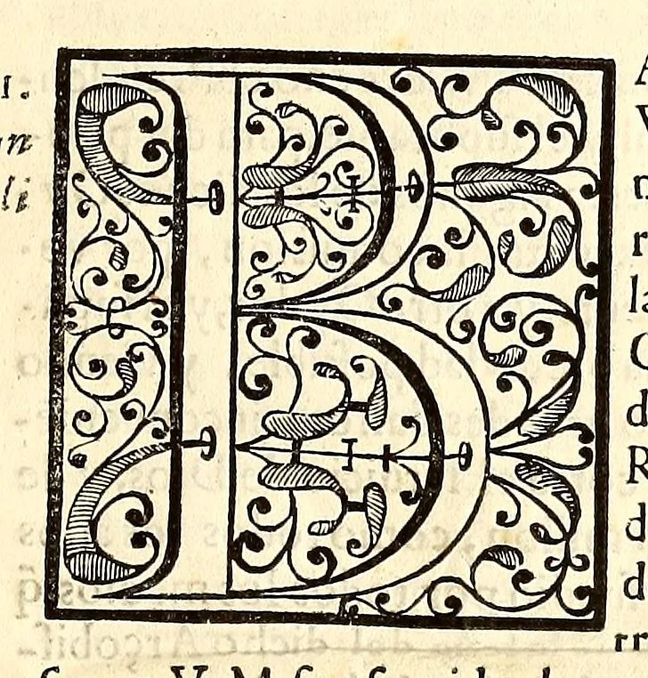 An illustration from Relacion de la execucion del arbitrio, par el remedio de los rescates, en la Isla Española, y comprouacion della, 1606, leaf 3