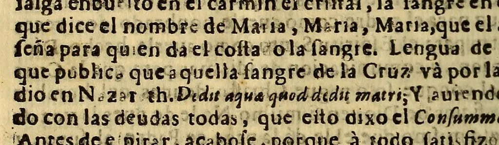 An illustration from Relacion de la gran solemnidad, que instituyo en el insigne Conuento de Nuestra Señora del Rosario de Lima, del Orden de Predicadores : el Ex. S.D. Pedro de Toledo y Leyba, marques de Mancera, señor de las cinco villas, y su jurisdiccion, comendador de Esparragal en el Orden de Alcantara, gentilhombre de la Camara de Su Magestad, de su Consejo de Guerra, virrey, lugar teniente, gouernador, y capitan general en los reynos, y prouincias del Perù al dulcissimo nombre de Maria, a cuya proteccion consagrò las armas deste reyno, y jurò su fiesta. Domingo 18. de otubre deste año de 1643., 1643, leaf 40