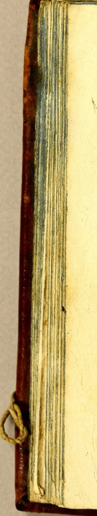 An illustration from Relacion de la vida, y virtudes del V. hermano Pedro de San Ioseph Betancur. De la Tercera Orden de Penitencia de N. seraphico P.S. Francisco. Primer fundador del Hispital [sic] de Convalecientes de N. Señora de Belen, en la ciudad de Guatemala., 1667, leaf 160
