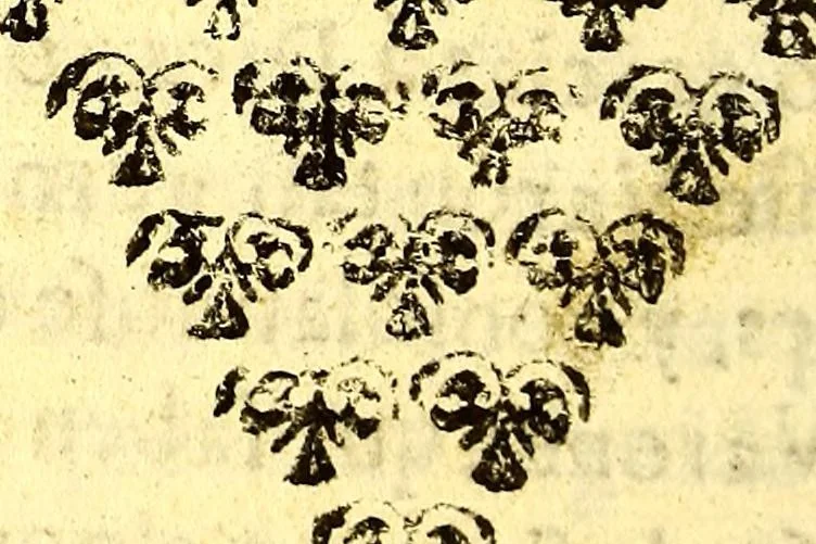 An illustration from Relacion de la vida, y virtudes del V. hermano Pedro de San Ioseph Betancur. De la Tercera Orden de Penitencia de N. seraphico P.S. Francisco. Primer fundador del Hispital [sic] de Convalecientes de N. Señora de Belen, en la ciudad de Guatemala., 1667, leaf 22