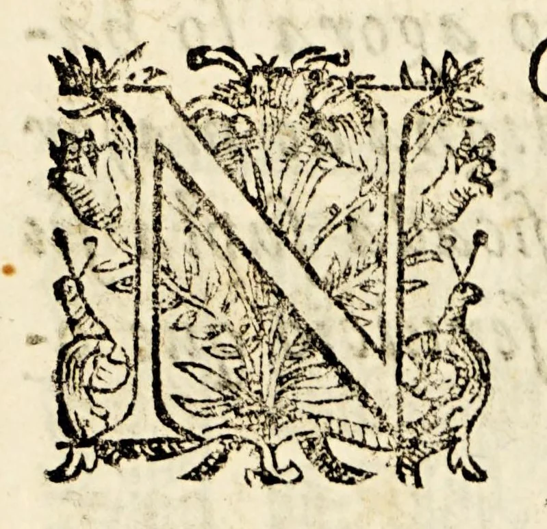 An illustration from Relacion de los servicios qve hizo a su magestad del Rey don Felipe Segundo y Tercero, don Alonso de Sotomayor del abito de Santiago, y comendador de Villamayor, del Consejo de Guerra de Castilla: : en los estados de Flandes, y en las prouincias de Chile, y Tierrafirme, donde fue capitan general, &c., 1620, leaf 17