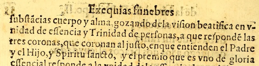 An illustration from Relacion historiada de las exequias funerales de la magestad del rey D. Philippo II. nuestro senor. : Hechas por el tribunal del Sancto Officio de la Inquisicion desta Nueua España y sus prouincias, y yslas Philippinas;, 1600, leaf 106