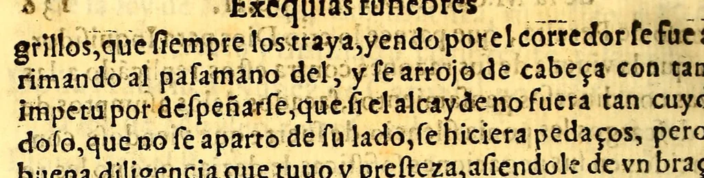 An illustration from Relacion historiada de las exequias funerales de la magestad del rey D. Philippo II. nuestro senor. : Hechas por el tribunal del Sancto Officio de la Inquisicion desta Nueua España y sus prouincias, y yslas Philippinas;, 1600, leaf 308