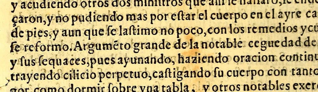 An illustration from Relacion historiada de las exequias funerales de la magestad del rey D. Philippo II. nuestro senor. : Hechas por el tribunal del Sancto Officio de la Inquisicion desta Nueua España y sus prouincias, y yslas Philippinas;, 1600, leaf 308