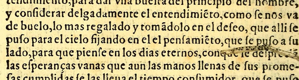 An illustration from Relacion historiada de las exequias funerales de la magestad del rey D. Philippo II. nuestro senor. : Hechas por el tribunal del Sancto Officio de la Inquisicion desta Nueua España y sus prouincias, y yslas Philippinas;, 1600, leaf 400
