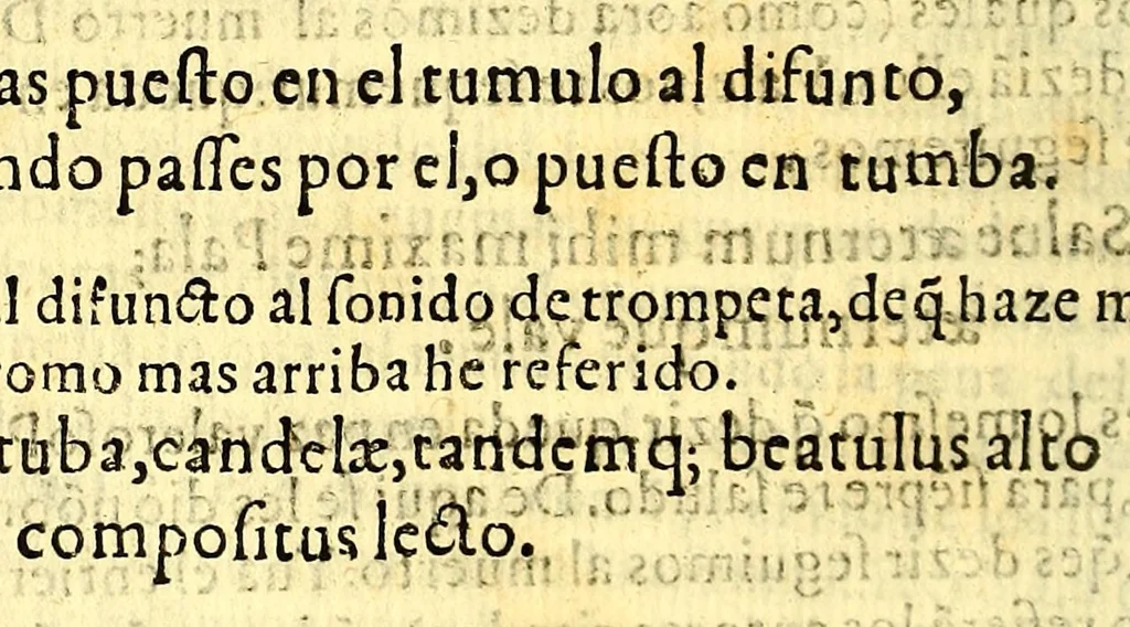 An illustration from Relacion historiada de las exequias funerales de la magestad del rey D. Philippo II. nuestro senor. : Hechas por el tribunal del Sancto Officio de la Inquisicion desta Nueua España y sus prouincias, y yslas Philippinas;, 1600, leaf 80