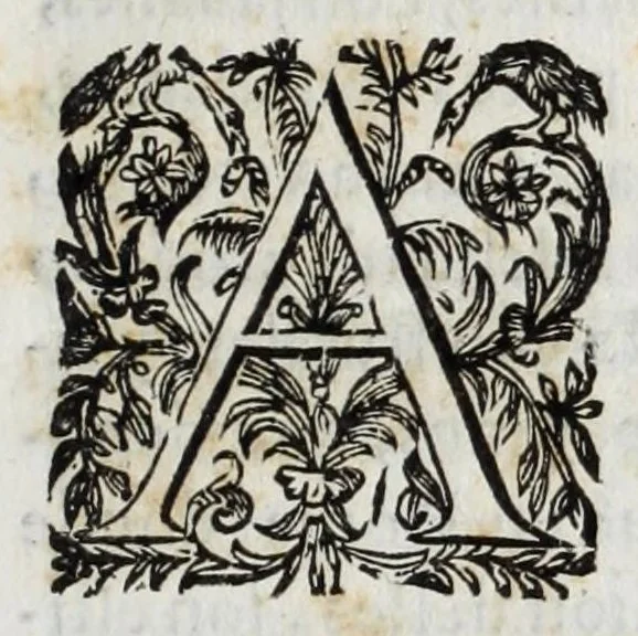 An illustration from Relacion tragica del Vesuvio, 1632, leaf 9