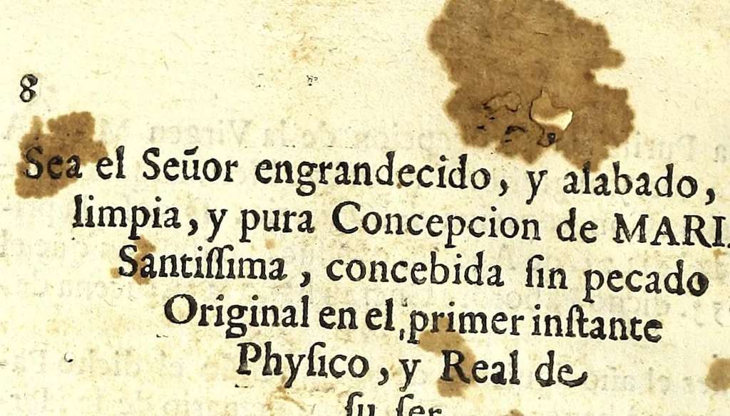 An illustration from Relacion verdadera de la imagen de la Immaculada Concepcion de la Virgen Maria, Madre de Dios : que se hallò en la raiz, o cebollita de una açucena de los valles del monte del Carrascal de la villa de Alcoy en el reino de Valencia, &c, 1665, leaf 20