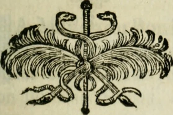 An illustration from Relation abregée de la vie de Madame de Combé, institutrice de la Maison du Bon Pasteur : avec les reglemens de la Communauté, 1700, leaf 104