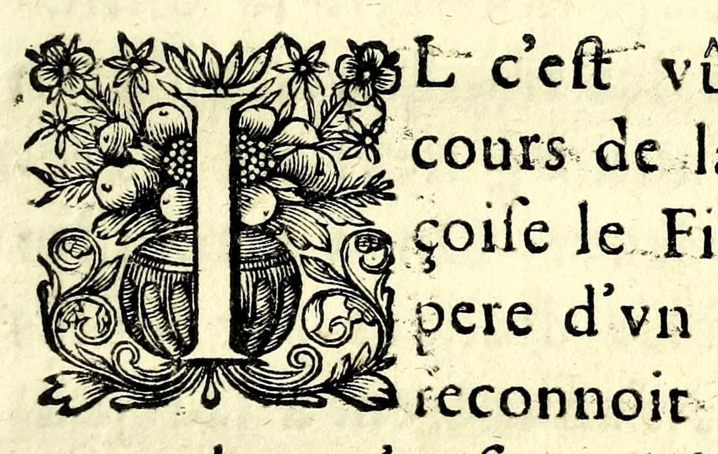 An illustration from Relation de ce qui c'est passé de plus considerable dans la rejouissance ordonnée par messieurs les magistrats de la ville de Semur, capitalle d'Auxois sur la naissance de Monseigneur duc de Bourgogne en l'année 1682, 1682, leaf 5