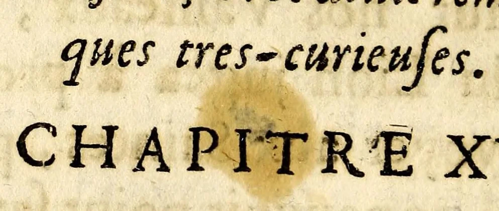 An illustration from Relation de ce qui s'est passé, dans les isles & terre-ferme de l'Amerique, : pendant la derniere guerre avec l'Angleterre, & depuis en execution du traitté de Breda. Avec un journal du dernier voyage du Sr de la Barre en la terre-ferme, & isle de Cayenne, accompagné d'une exacte description du pays, mœurs & naturel des habitans., 1671, leaf 248