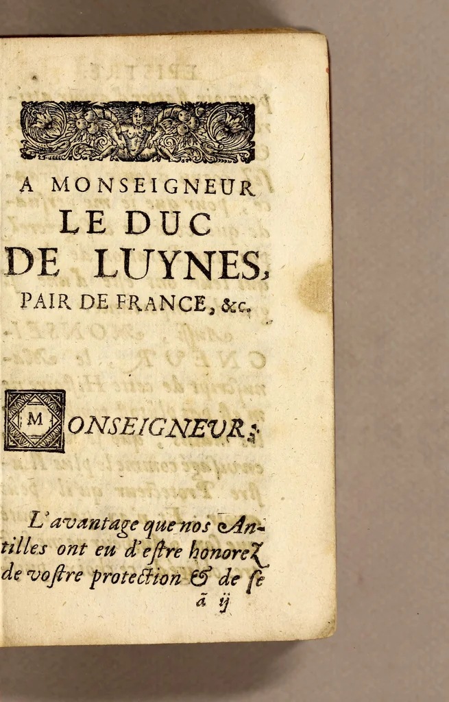 An illustration from Relation de ce qui s'est passé, dans les isles & terre-ferme de l'Amerique, : pendant la derniere guerre avec l'Angleterre, & depuis en execution du traitté de Breda. Avec un journal du dernier voyage du Sr de la Barre en la terre-ferme, & isle de Cayenne, accompagné d'une exacte description du pays, mœurs & naturel des habitans., 1671, leaf 7