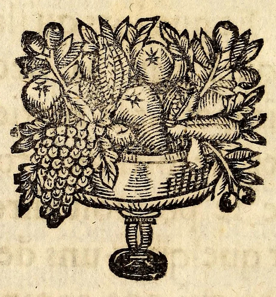 An illustration from Relation de ce qui s'est passé, dans les isles & terre-ferme de l'Amerique, : pendant la derniere guerre avec l'Angleterre, & depuis en execution du traitté de Breda. Avec un journal du dernier voyage du Sr de la Barre en la terre-ferme, & isle de Cayenne, accompagné d'une exacte description du pays, mœurs & naturel des habitans., 1671, leaf 70