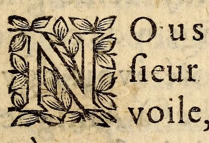 An illustration from Relation de ce qui s'est passé, dans les isles & terre-ferme de l'Amerique, : pendant la derniere guerre avec l'Angleterre, & depuis en execution du traitté de Breda. Avec un journal du dernier voyage du Sr de la Barre en la terre-ferme, & isle de Cayenne, accompagné d'une exacte description du pays, mœurs & naturel des habitans., 1671, leaf 13