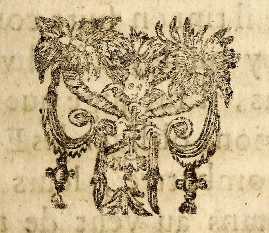 An illustration from Relation de ce qui s'est passé, dans les isles & terre-ferme de l'Amerique, : pendant la derniere guerre avec l'Angleterre, & depuis en execution du traitté de Breda. Avec un journal du dernier voyage du Sr de la Barre en la terre-ferme, & isle de Cayenne, accompagné d'une exacte description du pays, mœurs & naturel des habitans., 1671, leaf 181