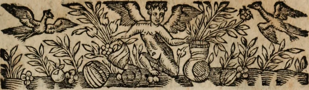 An illustration from Relation de ce qui s'est passe' en la Novvelle France en l'annee 1637, enuoyée au R. Pere Provincial de la Compagnie de Iesvs en la Prouince de France, 1638, leaf 14