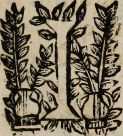 An illustration from Relation de ce qui s'est passe' en la Novvelle France en l'annee 1637, enuoyée au R. Pere Provincial de la Compagnie de Iesvs en la Prouince de France, 1638, leaf 14