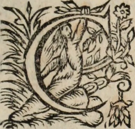 An illustration from Relation de ce qui s'est passe' en la Novvelle France en l'annee 1637, enuoyée au R. Pere Provincial de la Compagnie de Iesvs en la Prouince de France, 1638, leaf 164