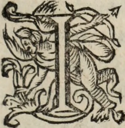 An illustration from Relation de ce qui s'est passe' en la Novvelle France en l'annee 1637, enuoyée au R. Pere Provincial de la Compagnie de Iesvs en la Prouince de France, 1638, leaf 182