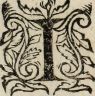 An illustration from Relation de ce qui s'est passe' en la Novvelle France en l'annee 1637, enuoyée au R. Pere Provincial de la Compagnie de Iesvs en la Prouince de France, 1638, leaf 206