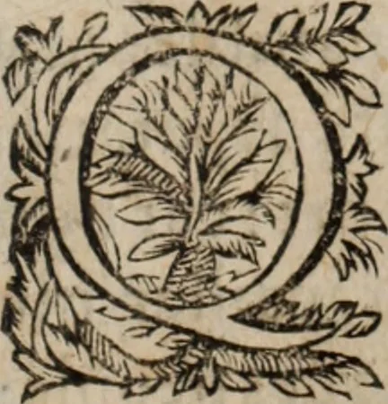 An illustration from Relation de ce qui s'est passe' en la Novvelle France en l'annee 1637, enuoyée au R. Pere Provincial de la Compagnie de Iesvs en la Prouince de France, 1638, leaf 348