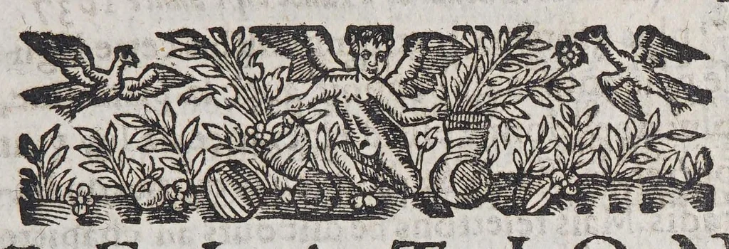 An illustration from Relation de ce qui s'est passé en la Nouuelle France en l'annee 1637. Enuoyée au r. pere prouincial de la Compagnie de Iesus en la prouince de France., 1638, leaf 17