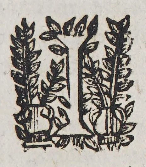 An illustration from Relation de ce qui s'est passé en la Nouuelle France en l'annee 1637. Enuoyée au r. pere prouincial de la Compagnie de Iesus en la prouince de France., 1638, leaf 17