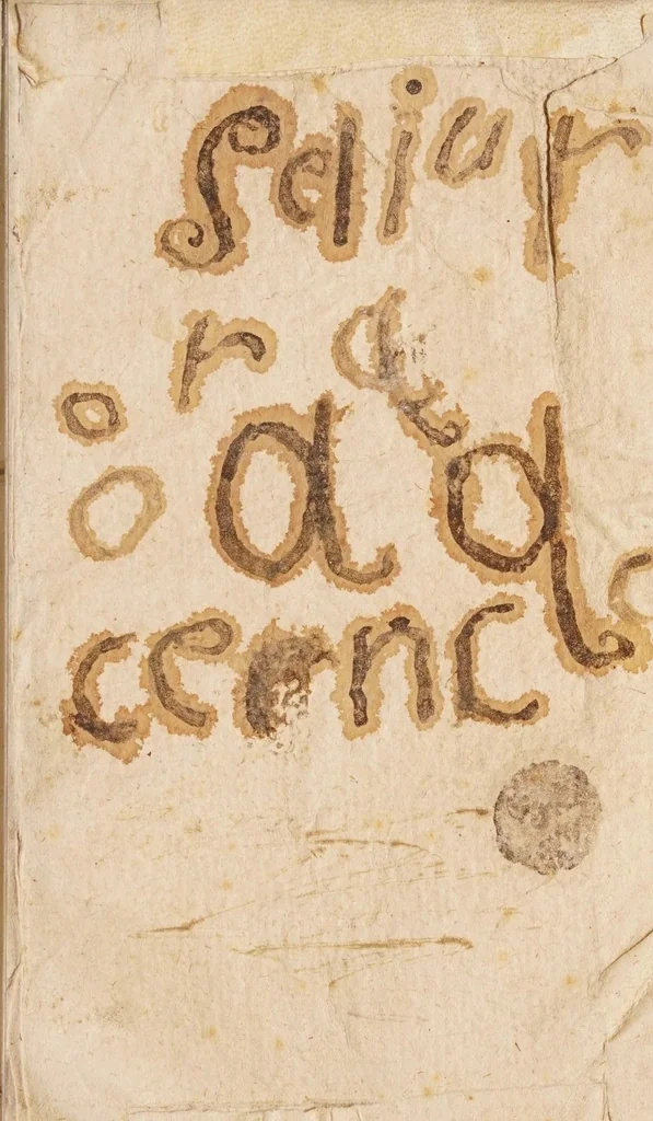 An illustration from Relation de ce qui s'est passé de plus remarquable aux missions des peres de la Compagnie de Iesus, en la Nouvelle France, és années mil six cens cinquante six & mil six cens cinquante sept, 1658, leaf 231