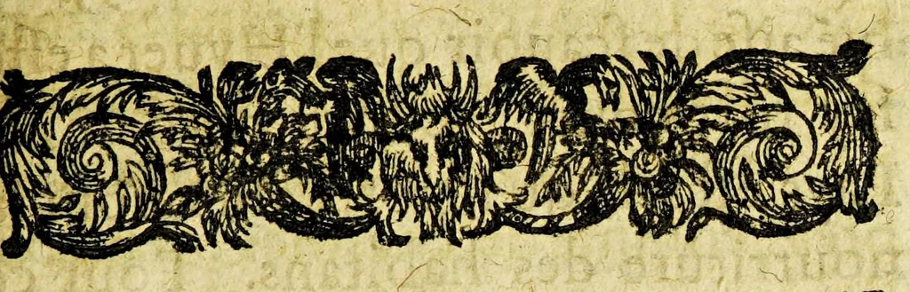 An illustration from Relation de ce qui s'est passé en la Nouuelle France en l'année 1635. Enuoyée au r. pere prouincial de la Compagnie de Iesus en la prouince de France., 1636, leaf 217