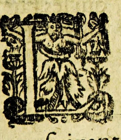 An illustration from Relation de ce qui s'est passé en la Nouuelle France en l'année 1635. Enuoyée au r. pere prouincial de la Compagnie de Iesus en la prouince de France., 1636, leaf 217