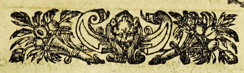 An illustration from Relation de ce qui s'est passé en la Nouuelle France en l'année 1638. Enuoyée au r. pere prouincial de la Compagnie de Iesus en la prouince de France., 1638, leaf 11
