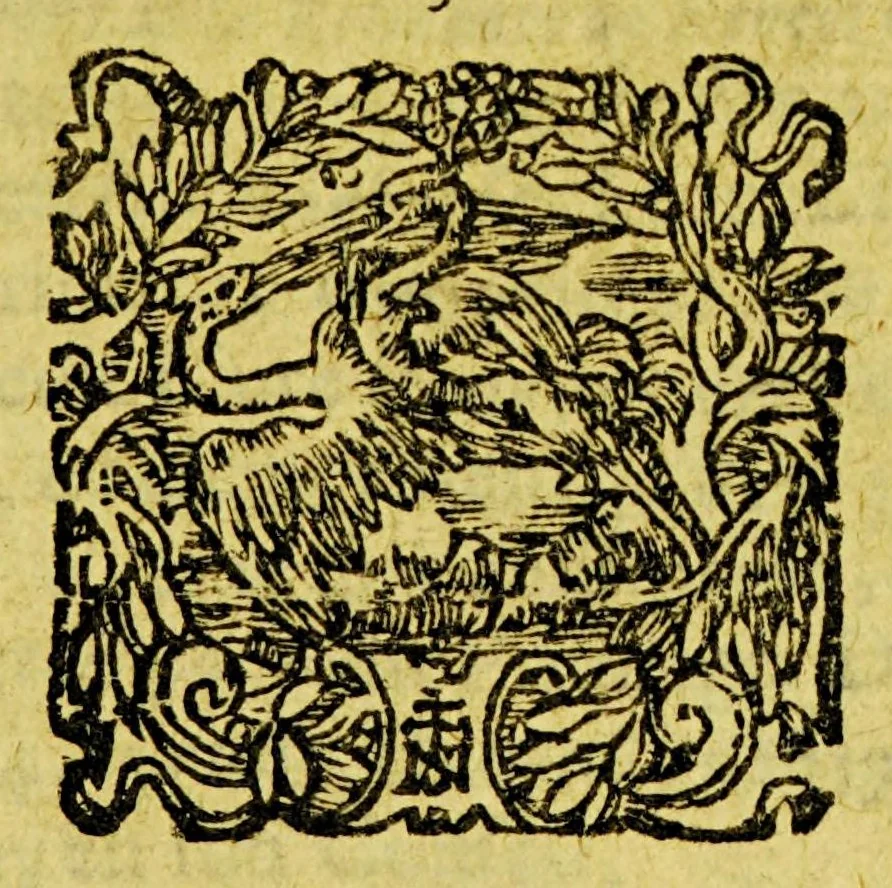 An illustration from Relation de ce qui s'est passé en la Nouuelle France en l'année 1639. Enuoyée au r. pere prouincial de la Compagnie de Iesus en la prouince de France., 1640, leaf 7