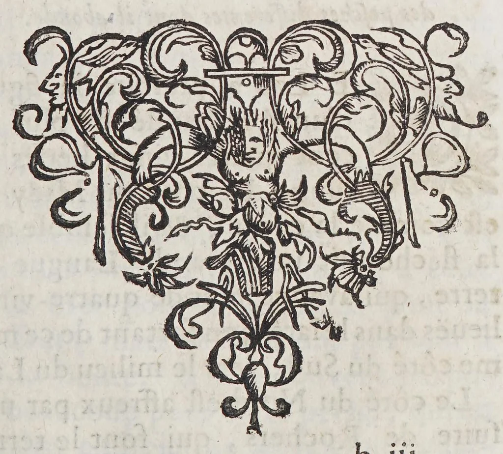 An illustration from Relation de ce qui s'est passé de plus remarquable aux missions des peres de la Compagnie de Iesus. En la Nouvelle France, les années 1669. & 1670. : Enuoyée au R.P. Estienne Dechamps provincial de la province de France, 1671, leaf 355