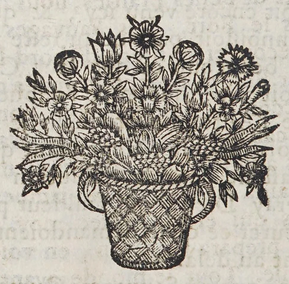 An illustration from Relation de ce qui s'est passé de plus remarquable aux missions des peres de la Compagnie de Iesus. En la Nouvelle France, les années 1669. & 1670. : Enuoyée au R.P. Estienne Dechamps provincial de la province de France, 1671, leaf 424