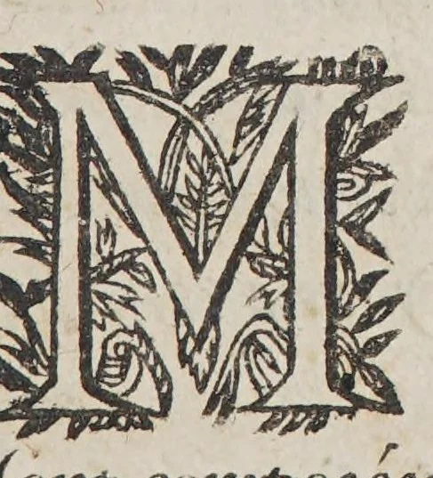 An illustration from Relation de ce qui s'est passé en la mission des peres de la Compagnie de Iesus, au pays de la Nouuelle France, és années 1655. & 1656. : Enuoyée au R.P. Louys Cellot, prouincial de la Compagnie de Iesus, en la prouince de France, 1657, leaf 13