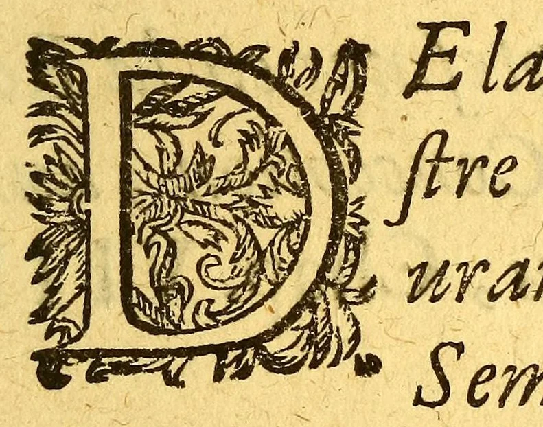 An illustration from Relation de ce qui s'est passé en la Nouuelle France, es années 1640. et 1641. Enuoyée au r. pere prouincial de la Compagnie de Iesus, de la prouince de France., 1642, leaf 9