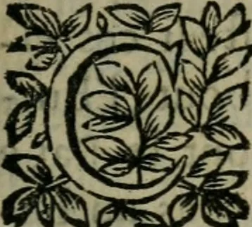 An illustration from Relation de la cour de Rome : faite l'an 1661 au Conseil du Pregadi, 1663, leaf 10