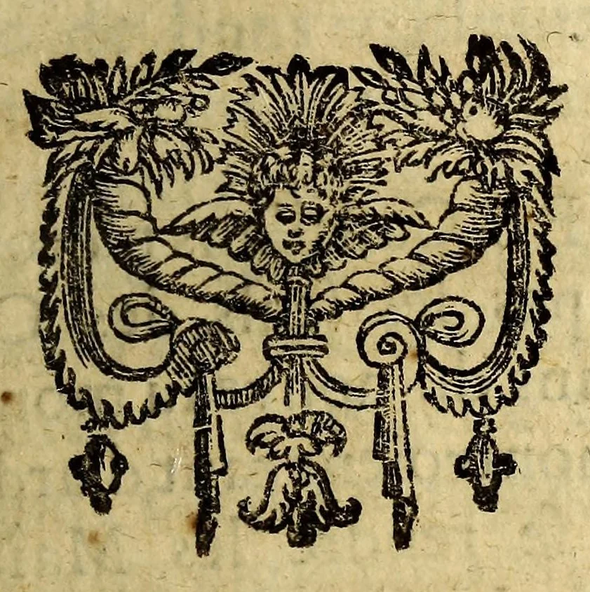 An illustration from Relation de la riviere des Amazones, 1682, leaf 263